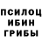 Галлюциногенные грибы GOLDEN TEACHER Nick Petropoulos