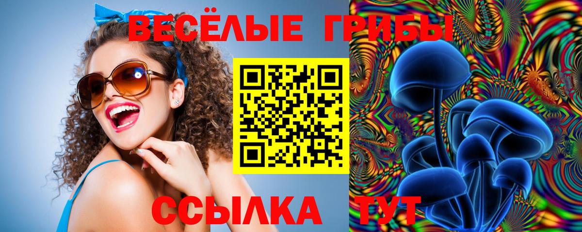 Миллерово  Галлюциногенные грибы мицелий  Вход с VPN 