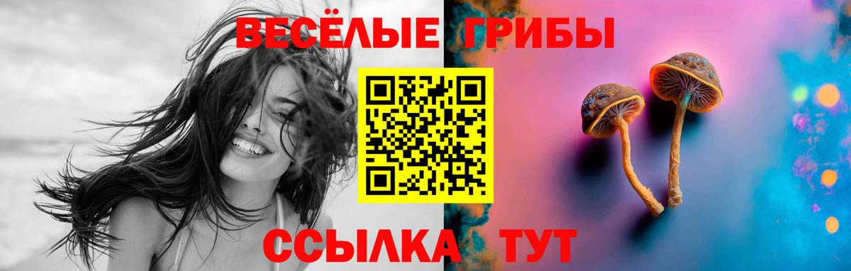 Галлюциногенные грибы GOLDEN TEACHER Миллерово